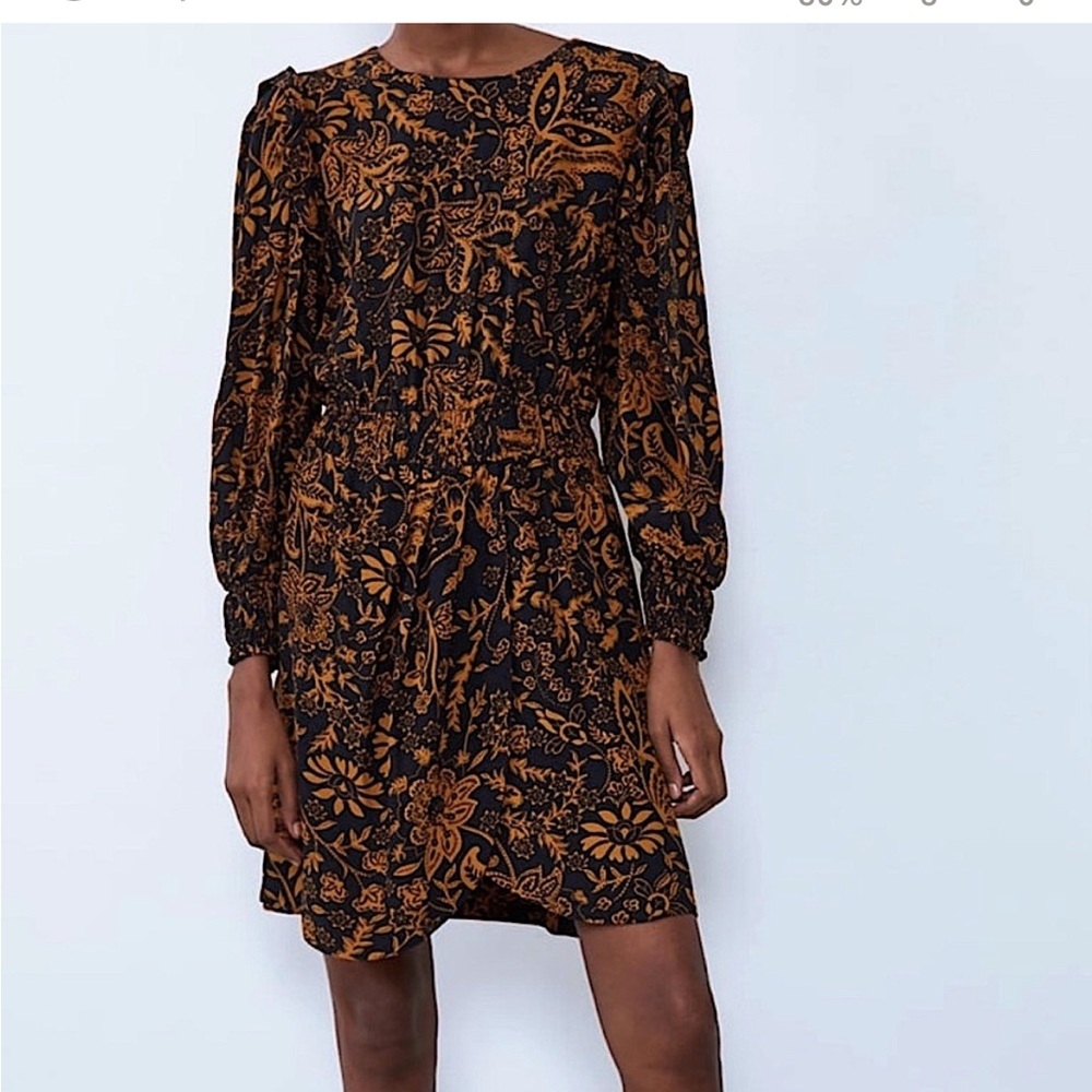 Zara dress